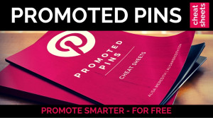 Promoted pin cheat sheet