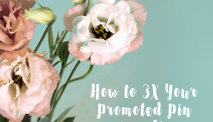 3X Promoted Pin results with visitor retargeting