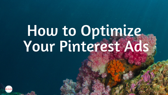 How to optimize your Pinterest ads. Don't settle for Promoted Pins that aren't working for you! Here's how to make the most of your dashboard to get the best deal on Promoted Pins.